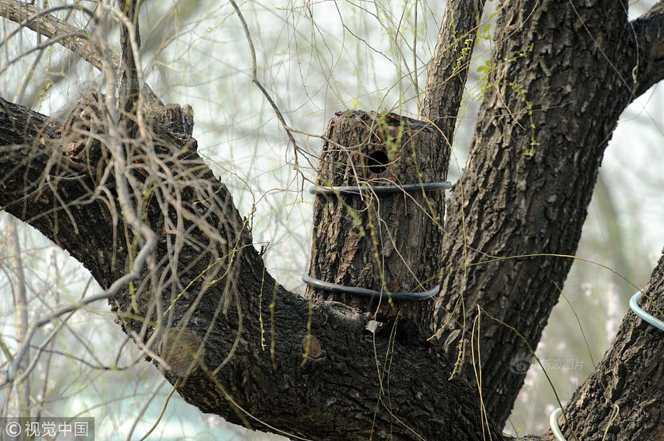 20cm长的棉签在晚上有什么用处 示例图 - 说明文字