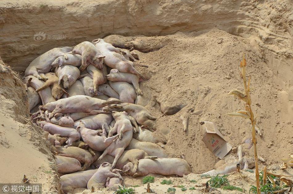 199麻豆up主吐槽盘点，内容绝，我刷了 示例图 - 说明文字