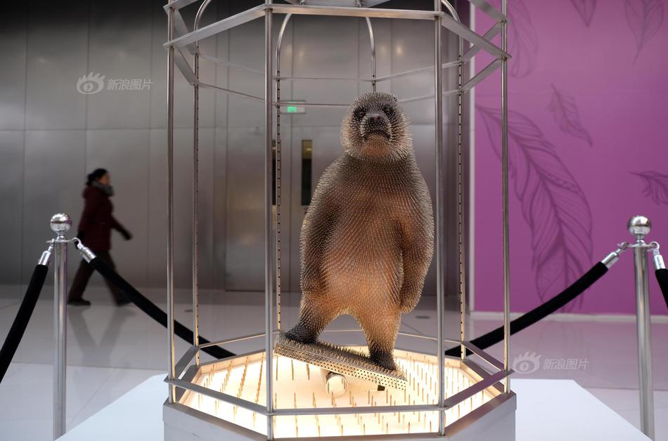 aaaa级片，最新aaaa大片，高清aaaavaaaaaa精品视频 示例图 - 说明文字