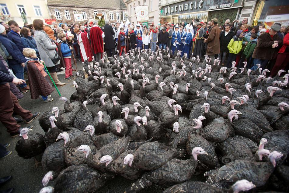 交合集重磅来袭1300部作品如何筛选最佳中文汉字内 示例图 - 说明文字