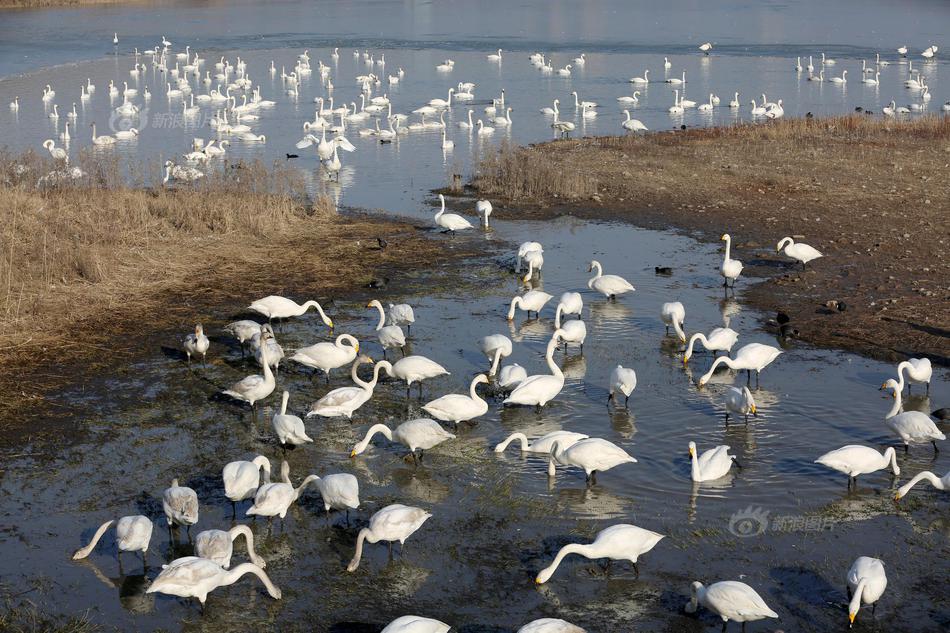 8x8x多重含义数学科技文化中应用 示例图 - 说明文字