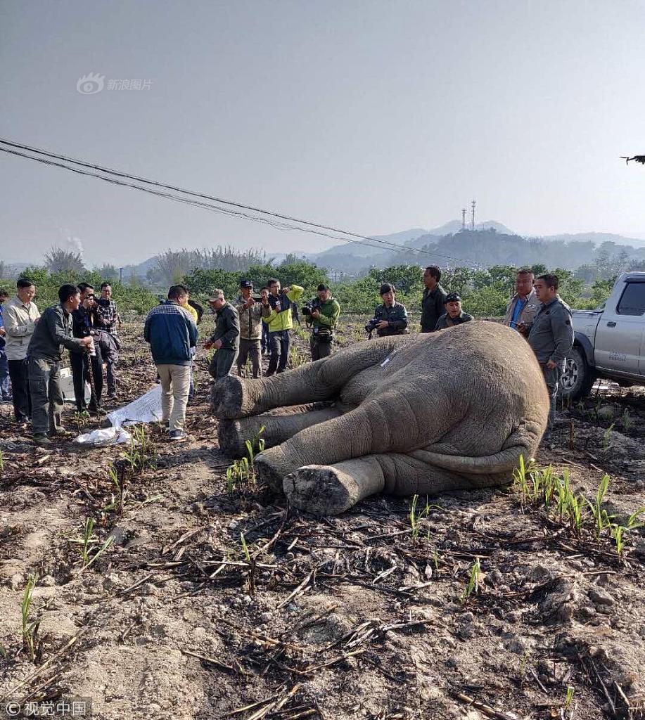 8x8x多重含义数学科技文化中应用 示例图 - 说明文字