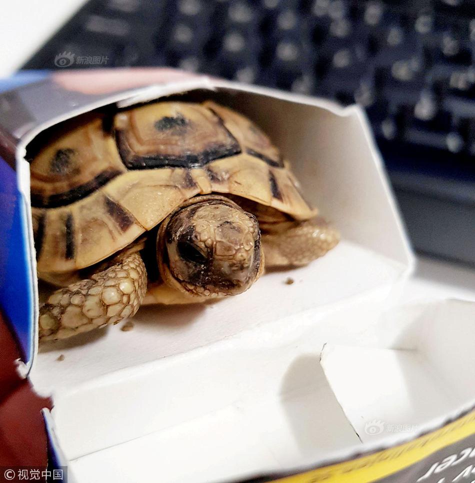 公司公厕小说免费阅读2025最新章节更新 示例图 - 说明文字