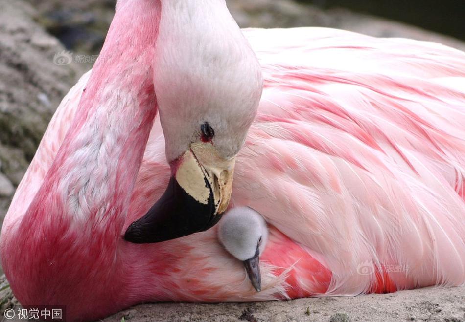 18岁流白浆原因-生理现象还是需要治疗-荟 示例图 - 说明文字