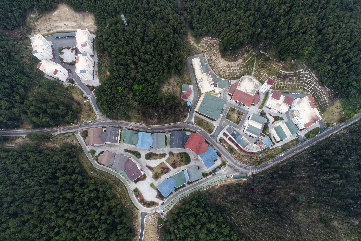 从指尖传出的认真的热情樱花动漫在线播放 示例图 - 说明文字