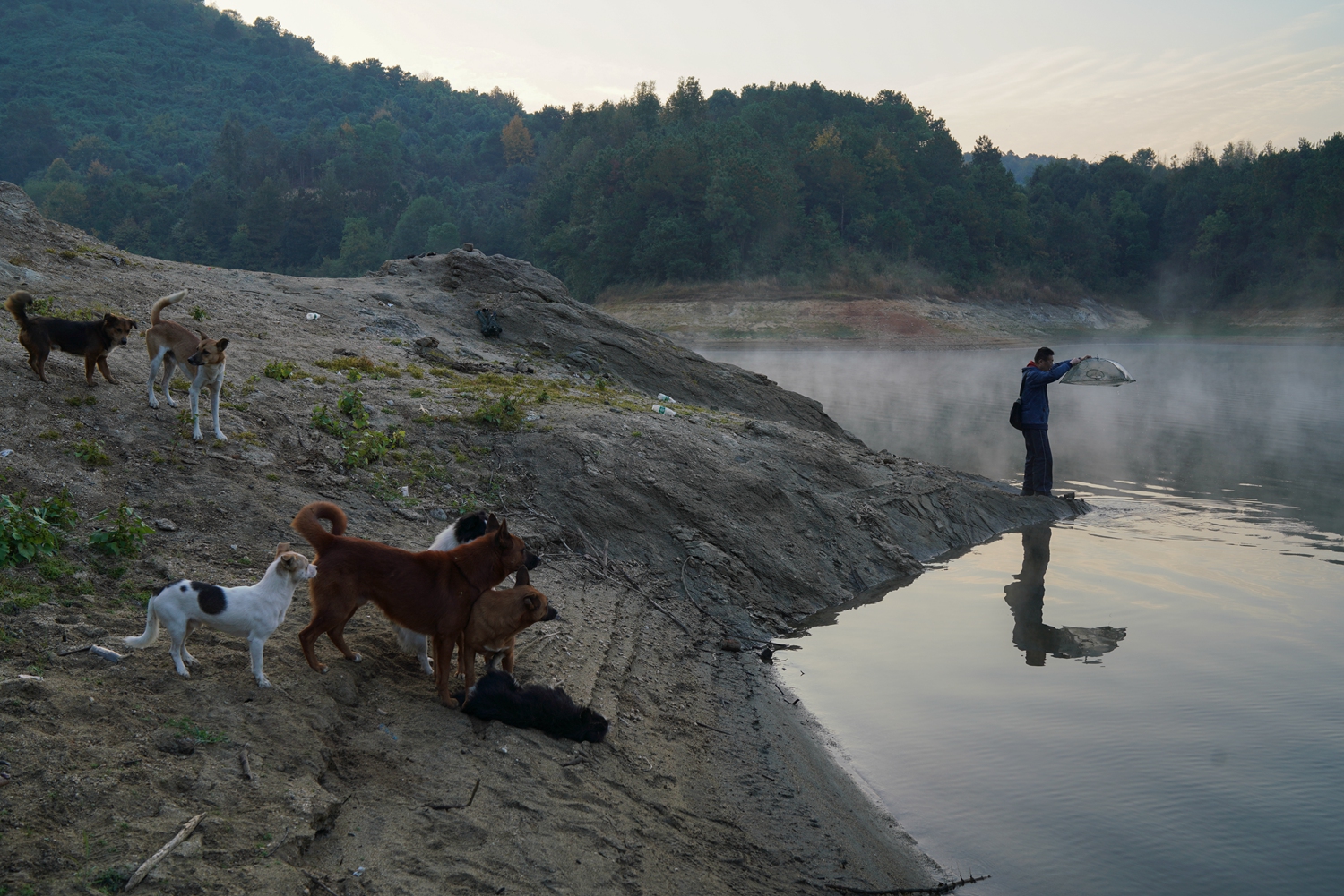 zoomservo兽-科技幻想未来生物 示例图 - 说明文字