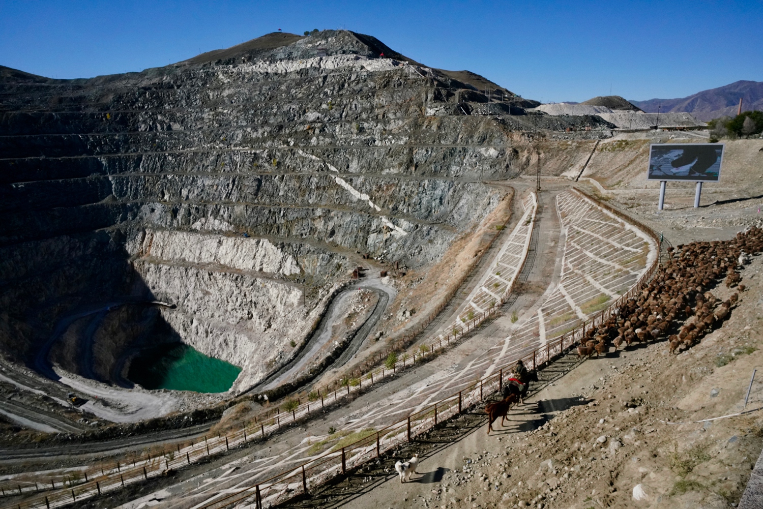 呕吐=美团姑娘怎么约，美团骑手如何进行预约(2024-12-07 21-0) 示例图 - 说明文字