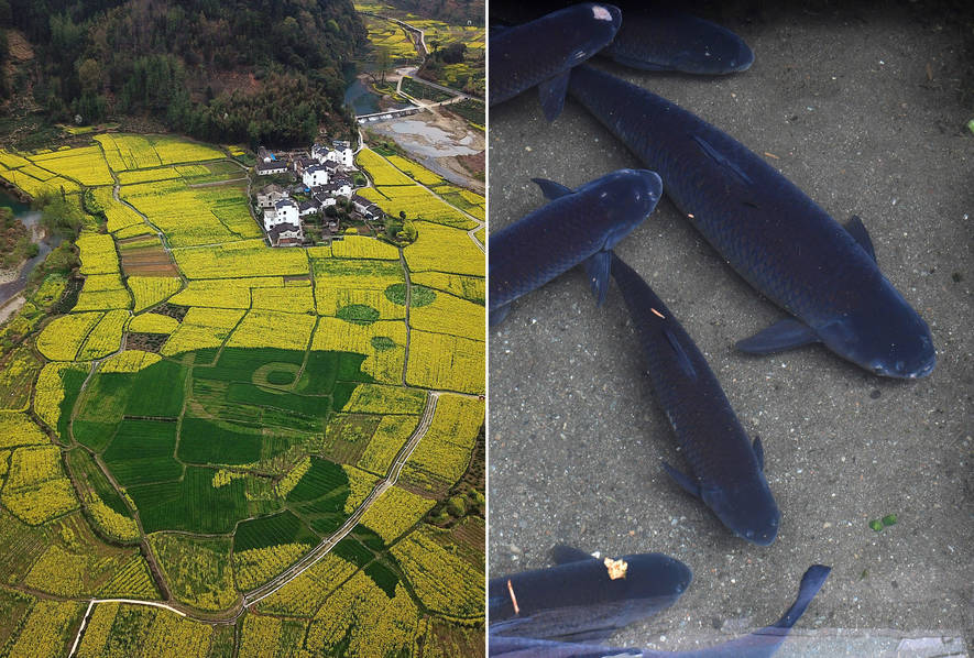 呕吐=美团姑娘怎么约，美团骑手如何进行预约(2024-12-07 21-0) 示例图 - 说明文字