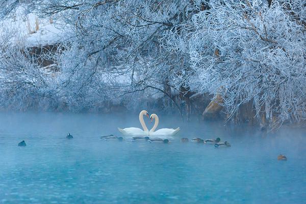安全找到18游戏入口，避开常见问题和风险的指南 示例图 - 说明文字