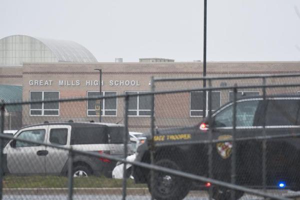 20cm长的棉签在晚上有什么用处 示例图 - 说明文字