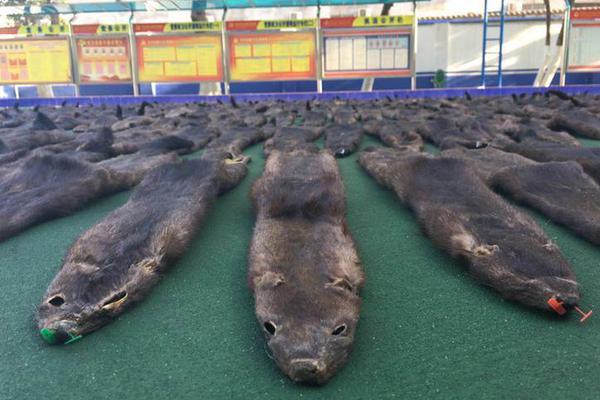 北野未奈hoa∨一101在线观看全集 示例图 - 说明文字