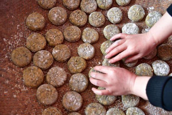 《百千家的妖怪王子》全集动漫-樱花动漫 示例图 - 说明文字