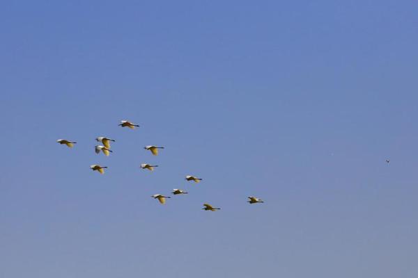 庙里的和尚猛免费在线阅读_四缺一_全集最新收录 示例图 - 说明文字