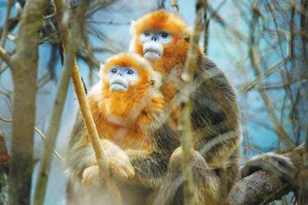 日韩精品人妻无码久久影院神马影院在线top在线播放堂电影网 示例图 - 说明文字