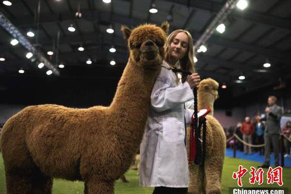 7x7x7x7x任意槽2023新品购买推荐 示例图 - 说明文字