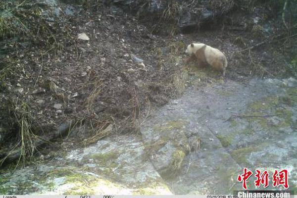 →→fulao2邮箱专业站长版v3314.6314.58585a_ 示例图 - 说明文字