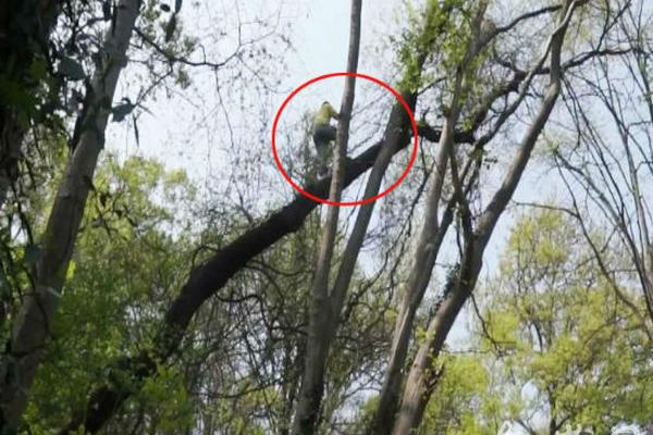 8x8x多重含义数学科技文化中应用 示例图 - 说明文字