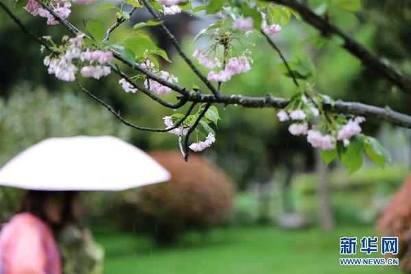 8x8x多重含义数学科技文化中应用 示例图 - 说明文字