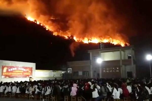 国产av电影精品区一二三区日韩av免费收看 示例图 - 说明文字