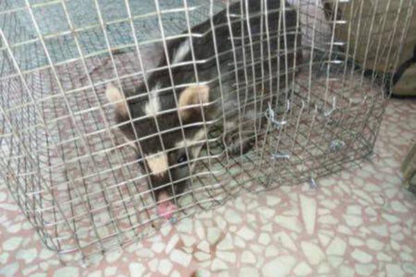 ...亚托莉我挚爱的时光手机版v 示例图 - 说明文字