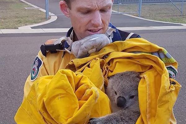 在铜器乐章中感受音乐魅力与舞蹈节奏-张家 示例图 - 说明文字