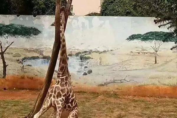 尽情在房间里玩耍游戏冷狐版下载-2021最新冷狐游戏下载链接 示例图 - 说明文字