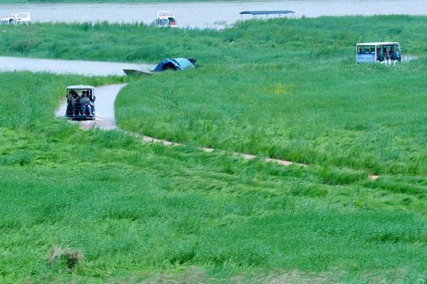 19岁韩国电影tc中字在线观看- 中航影视 示例图 - 说明文字