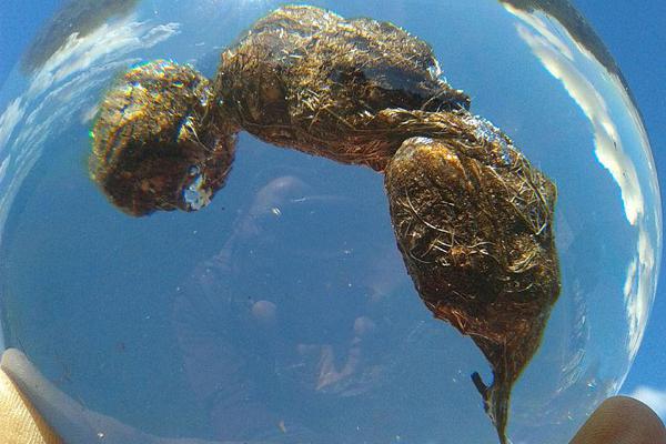 在五情天综合基地探寻幸福之秘 示例图 - 说明文字