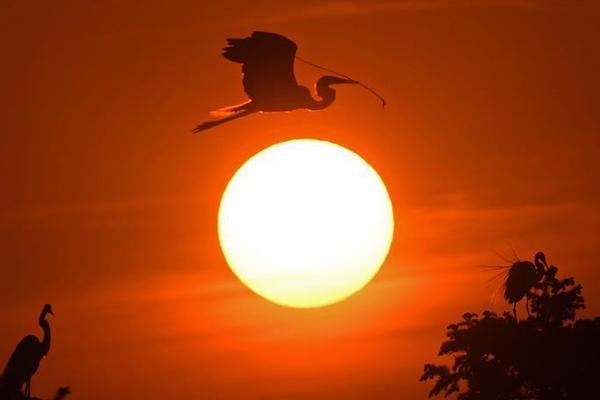 018期澳门彩报-3d图库 示例图 - 说明文字