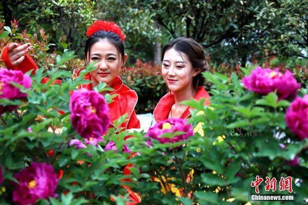 如何精挑交合集1300部作品最优的中文汉字 示例图 - 说明文字