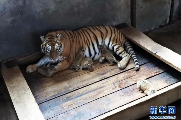 尝心蜜迈开腿尝尝你的草莓 示例图 - 说明文字