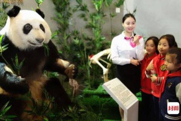 18游戏入口指南，全方位避免问题和风险 示例图 - 说明文字