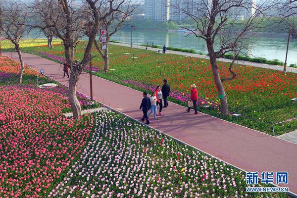 军情五处第四季全集免费在线观看-英国欧 示例图 - 说明文字