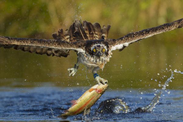 后座小孩带妈妈去姥姥家电子书(姀锡)小说在线全文阅读 示例图 - 说明文字