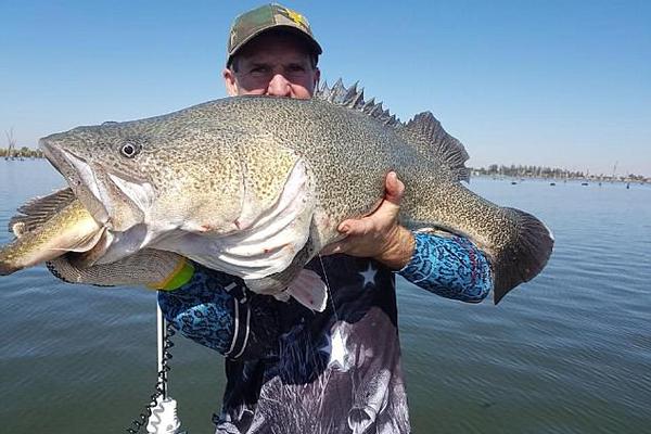 区av电影国产伦精品一二三区日韩av 示例图 - 说明文字