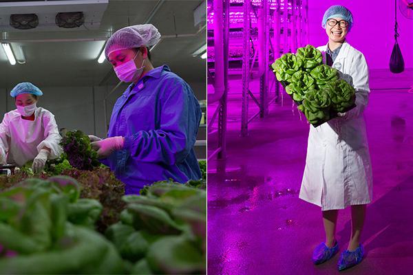 双女车车高清资源在线观看视 示例图 - 说明文字