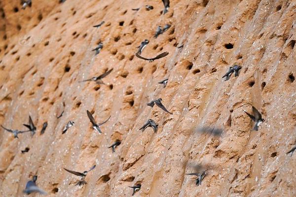 zoomservo兽-科技幻想未来生物 示例图 - 说明文字