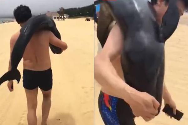 悍城演员表-历史剧完整版免费观看 示例图 - 说明文字