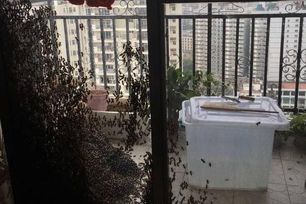 呕吐=美团姑娘怎么约，美团骑手如何进行预约(2024-12-07 21-0) 示例图 - 说明文字