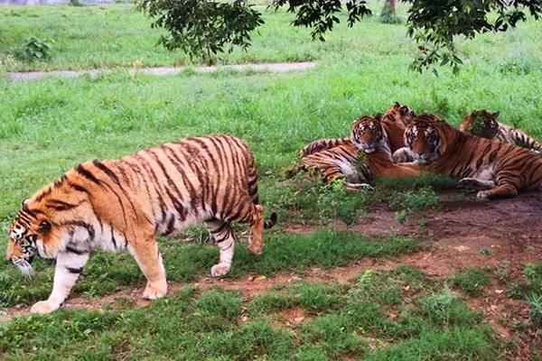 在城市乡村间 gary农民工的奋斗故事 示例图 - 说明文字