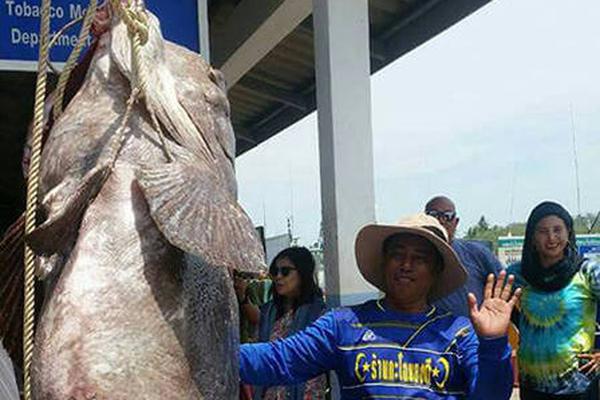 北野未奈hoa∨一101在线观看全集 示例图 - 说明文字