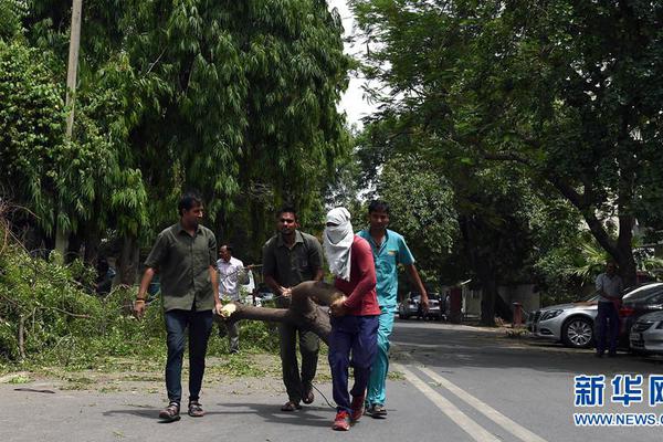 北野未奈hoa∨一101在线观看全集 示例图 - 说明文字