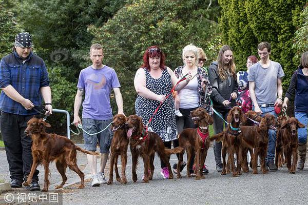 军情五处第四季全集免费在线观看-英国欧 示例图 - 说明文字