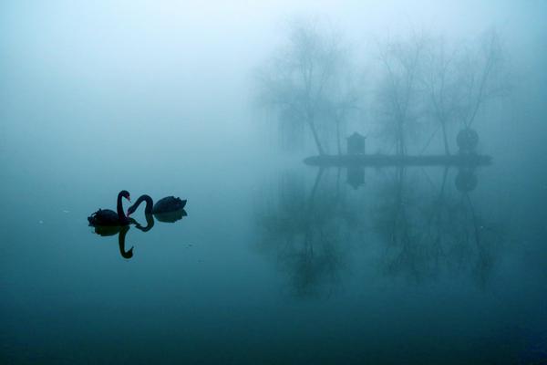 199麻豆up主吐槽盘点，内容绝，我刷了 示例图 - 说明文字