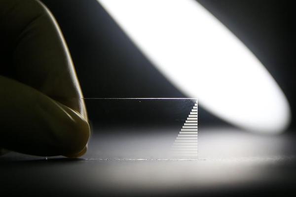 义妹生活免费在线观看-完整版-fhd日漫-新尚影院 示例图 - 说明文字