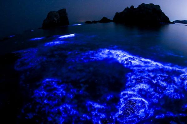 aaaa级片，最新aaaa大片，高清aaaavaaaaaa精品视频 示例图 - 说明文字