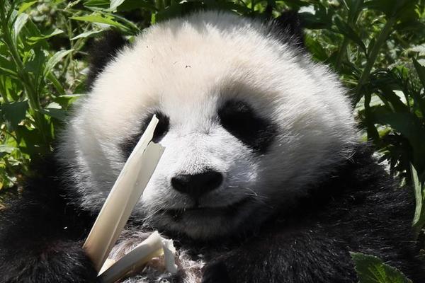 从指尖传出的认真的热情樱花动漫在线播放 示例图 - 说明文字