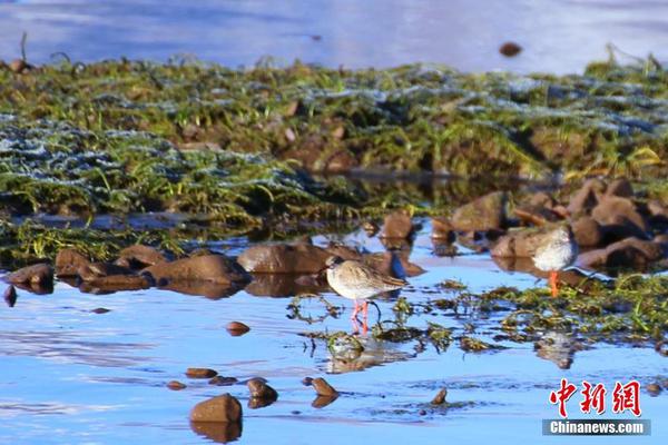 在五情天综合基地探寻幸福之秘 示例图 - 说明文字