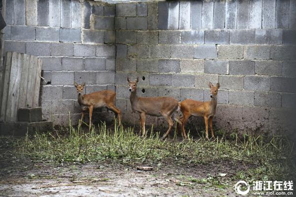悍城演员表-历史剧完整版免费观看 示例图 - 说明文字