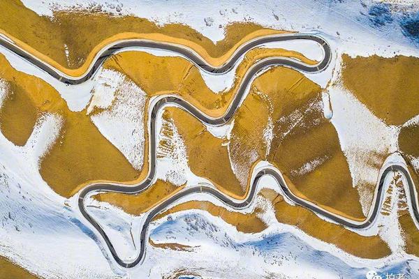 zoomservo兽-科技幻想未来生物 示例图 - 说明文字